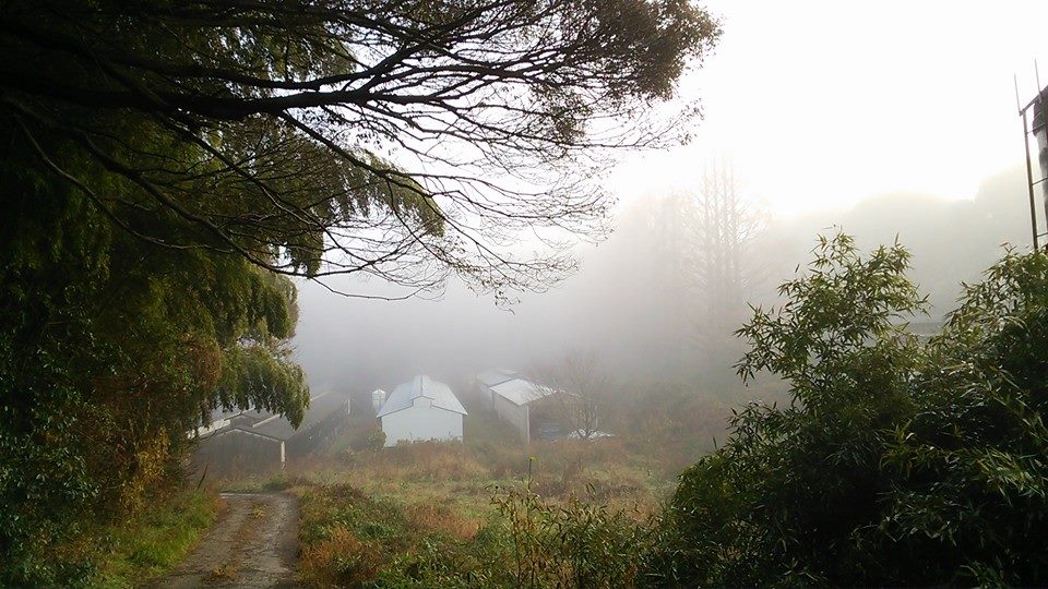 霧の農場